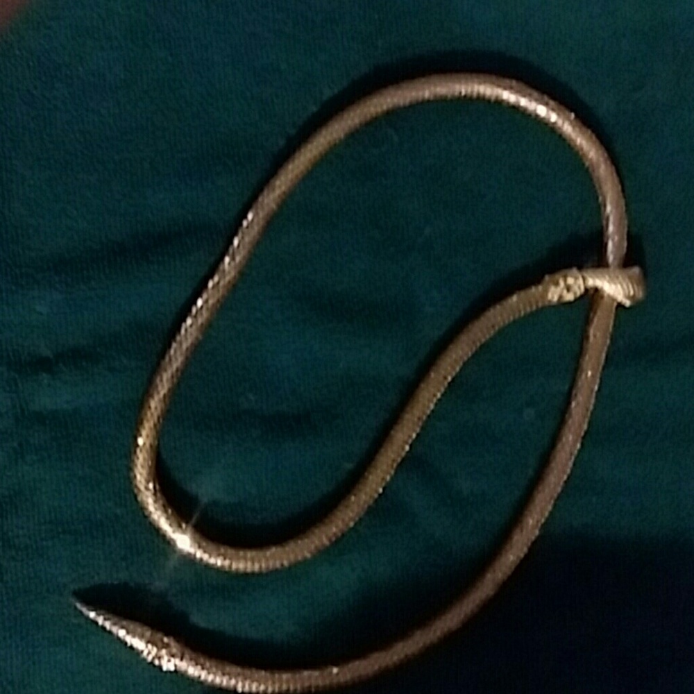 Gold tone snake, belt (or necklace)